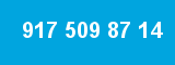 917 509 87 14 917 509 87 14